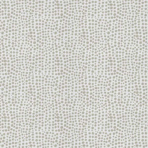 All Fabric: Dotti - Ecru Fabric