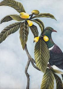 A Collection Of Prints And Reproductions: Kererū in the Loquat Tree Print