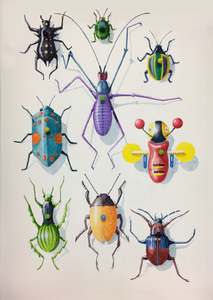 A Collection Of Prints And Reproductions: Insects of a New Zealand Imagination - Poster Print