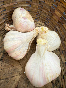 Products: Garlic Macas Green Fam
