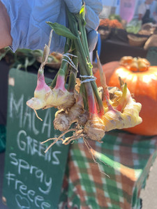 Products: Fresh ginger Macas Green Fam