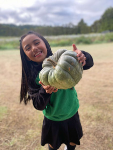 Products: Crown Pumpkin Macas Green Fam