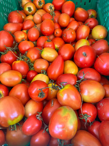 Products: Acid-Free Tomatoes (Outdoor grown) Macas Green Fam