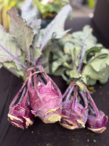 Products: Purple Kohlrabi Macas Green Fam