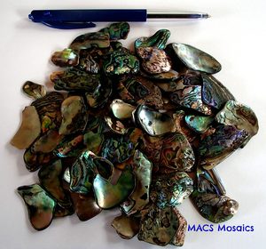 Paua Mosaic Pieces Small Grade - MACS Mosaics