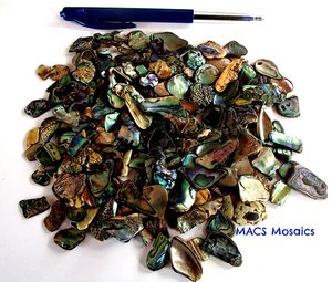 Paua Fines - MACS Mosaics