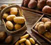 Products: Page 2 of 21 - Mad Butcher