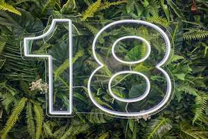 Neon Signs: "18" Neon Sign