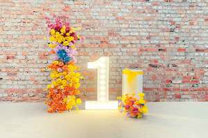 1st Birthday Sunshine Package