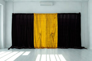 Accessories: Black and Gold Velvet Backdrop Draping Curtain