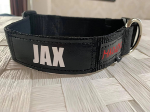 Personalised Dog Collar in Black