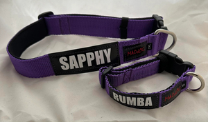 Personalised Dog Collar in Purple