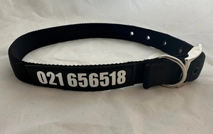 Nylon Buckle Collar – Black
