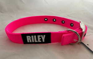 Products: Nylon Buckle Collar – Hot Pink