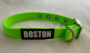 Nylon Buckle Collar – Neon Green