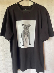 Products: Staffy T-Shirt – Black