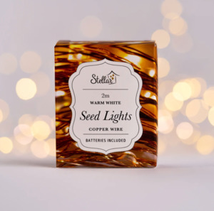 2m Copper Warm White 20 LED Seed Lights