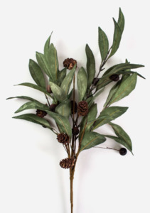 Eucalyptus & Brown Berry Wood Branch