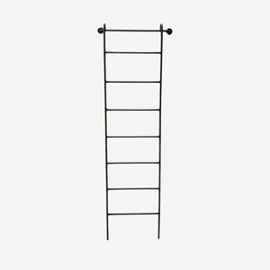 Metal Wall Ladder