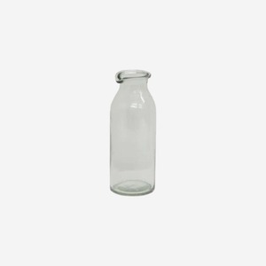 Clear Bottle Vase
