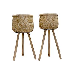 Planters Artificial Plants: Borneo Planters Set Of 2