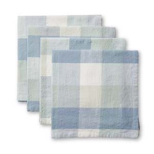 Isaac Blue/Seafoam Check Napkin Set 4