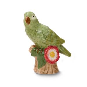 Green Parrot Medium