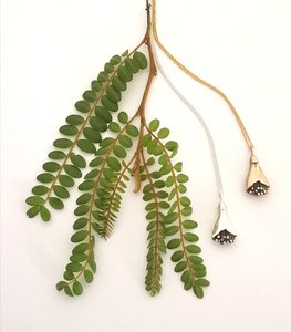 Sterling Silver Kowhai Blossom Pendant Native NZ Jewellery - Maggie Adams Jewell&hellip;