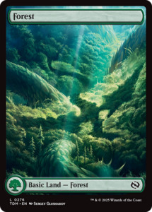 Forest (0276) [Tarkir: Dragonstorm]