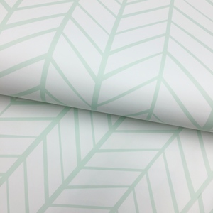 Zig Zag Stripe Mint