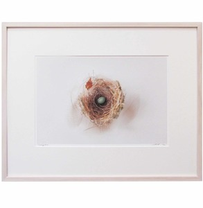 Products: ” Duckegg Blue” Framed Giclee limited Edition by Janine Ross-Johnstone
