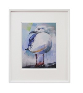 Framed prints: “Portrait of a Gull” framed limited Edition Print by Sheila Brown