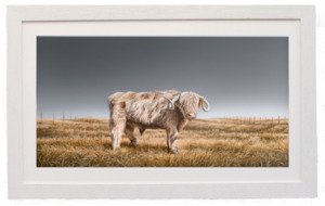 Framed prints: “Fringe Dweller” Framed Giclee by Peter Geen