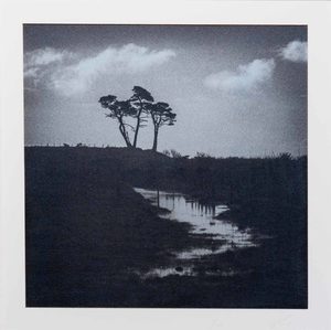Photography: “Cape Foulwind” Photographic Print by Stuart Clook