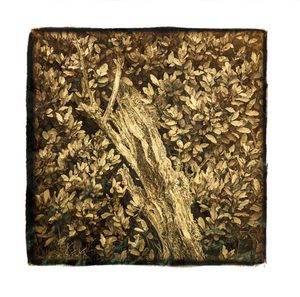 Photography: “Companions I ” Photographic Print by Stuart Clook