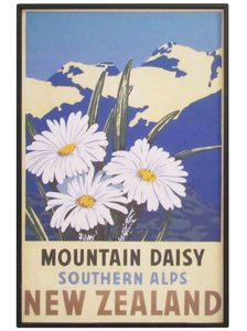 New Zealand Vintage Travel Poster “Mountain Daisy”