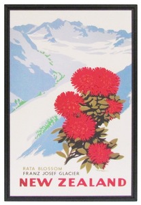 New Zealand Vintage Travel Poster “Rata”