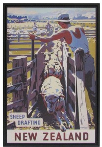 New Zealand Vintage Travel Poster “Sheep Drafting”
