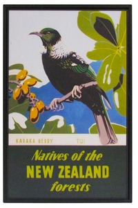 New Zealand Vintage Travel Poster “Tui”