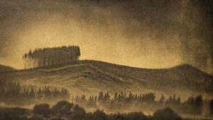 Photography: “Marching Trees” Photographic Prints by Stuart Clook