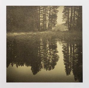 Photography: “Lake Heron” Photographic Print by Stuart Clook