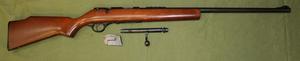 Firearms: Marlin model 25 22LR