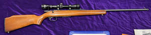 Remington 581 .22