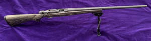 Ruger 77/17 .17HMR