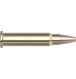 Hornady 17 Hmr 20gr Xtp  Ammo 50 Pkt