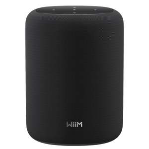 WiiM Sound Lite Smart Speaker
