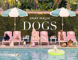 Books: Gray Malin: Dogs
