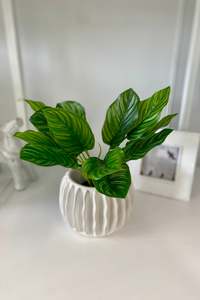 Vases: Classic Stripe Small Garden Pot