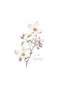 Cards: Card - Magnolia Sympathy