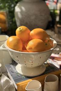 Botanical Garden: Faux Lemon
